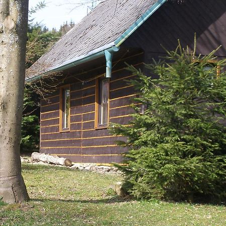 فيلا Chata Dvorecna Loučovice المظهر الخارجي الصورة
